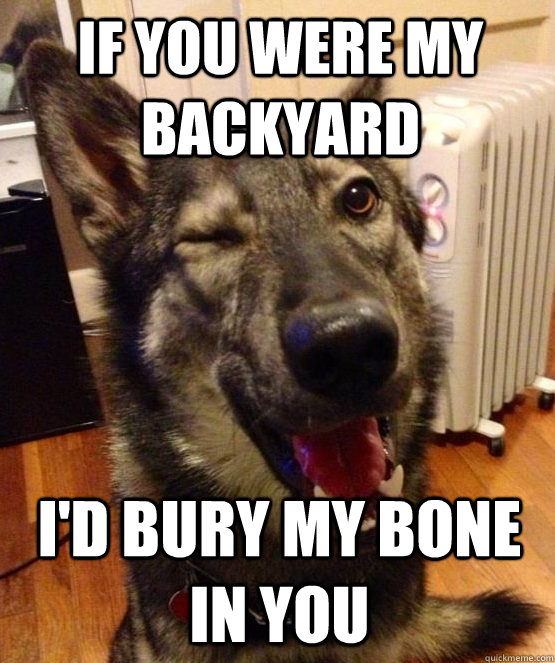 If you were my backyard I'd bury my bone in you  Pickup Pup
