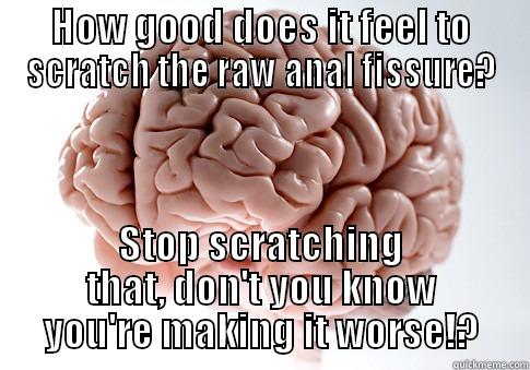 HOW GOOD DOES IT FEEL TO SCRATCH THE RAW ANAL FISSURE? STOP SCRATCHING THAT, DON'T YOU KNOW YOU'RE MAKING IT WORSE!? Scumbag Brain