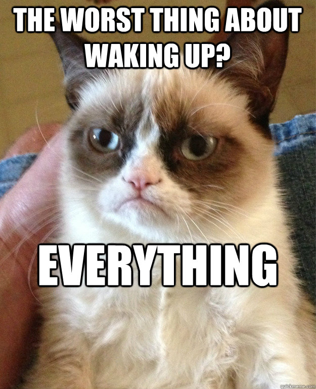 The worst thing about waking up? Everything  Grumpy Cat