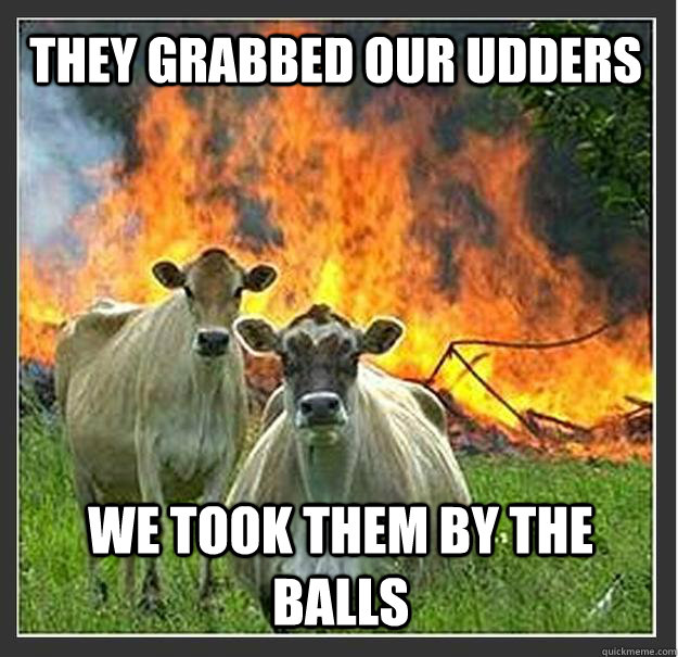 They grabbed our udders We took them by the balls  Evil cows