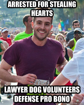 Arrested for stealing hearts lawyer dog volunteers defense pro bono  Ridiculously photogenic guy