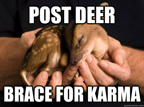 Post deer brace for karma - Post deer brace for karma  baby deer