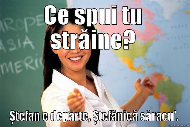 CE SPUI TU STRĂINE? ȘTEFAN E DEPARTE, ȘTEFĂNICĂ SĂRACU'. Unhelpful High School Teacher