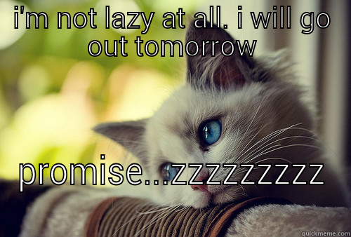 I'M NOT LAZY AT ALL. I WILL GO OUT TOMORROW PROMISE...ZZZZZZZZZ First World Problems Cat