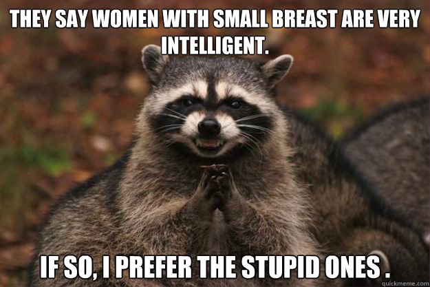 They say women with small breast are very intelligent.  If so, I prefer the stupid ones .  Evil Plotting Raccoon