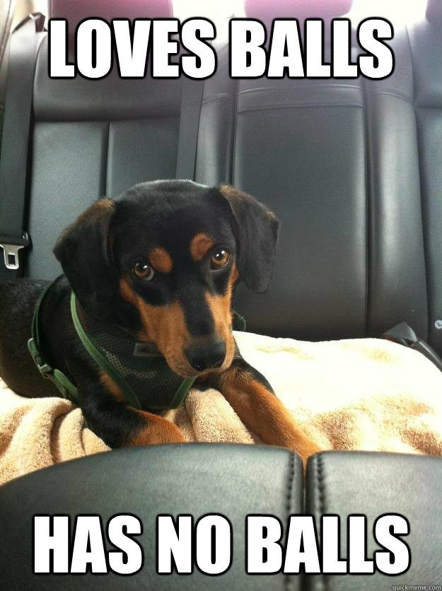 loves balls has no balls roy desirman quickmeme