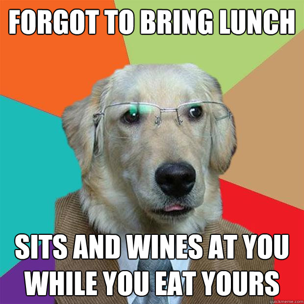 Forgot to bring lunch sits and wines at you while you eat yours  Business Dog