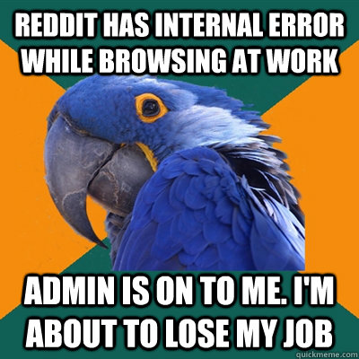 Reddit has internal error while browsing at work Admin is on to me. I'm about to lose my job  Paranoid Parrot
