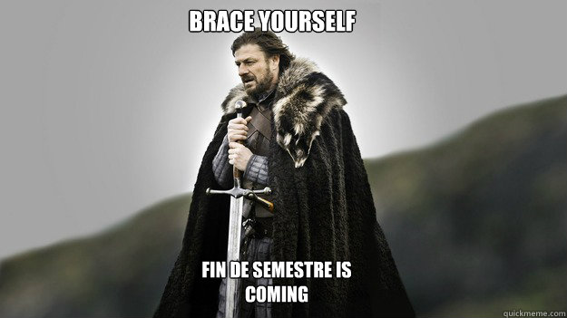 Brace Yourself Fin de semestre IS COMING  Ned stark winter is coming