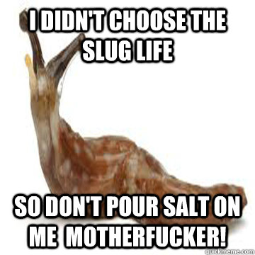 i didn't choose the slug life so don't pour salt on me  motherfucker! - i didn't choose the slug life so don't pour salt on me  motherfucker!  Misc