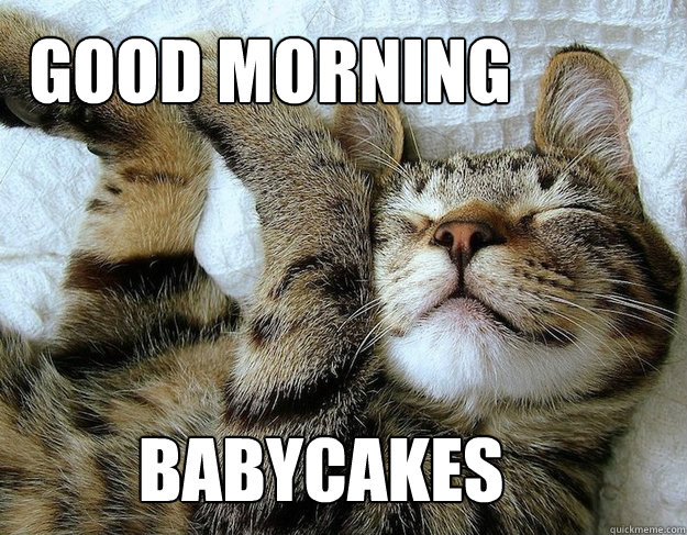 Good Morning Babycakes - Good Morning Babycakes  good morning babycakes