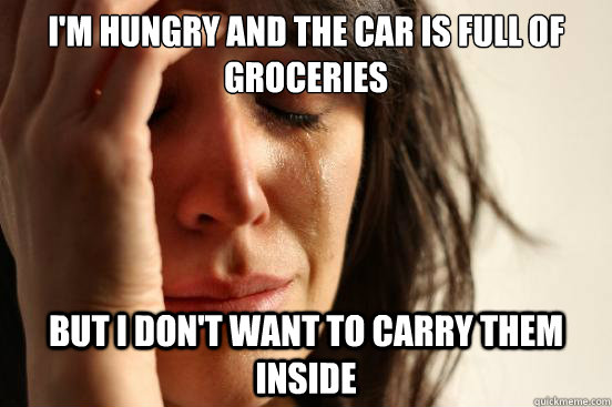 I'm hungry and the car is full of groceries But i don't want to carry them inside  First World Problems