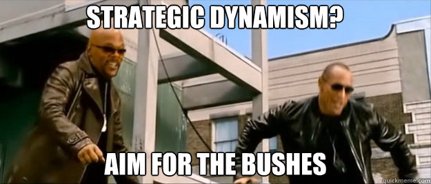 strategic dynamism aim for