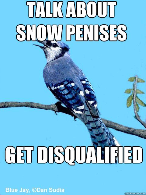 talk about snow penises get disqualified  Blue Team Bird