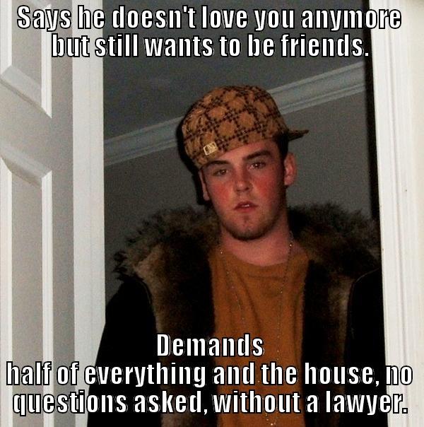 SAYS HE DOESN'T LOVE YOU ANYMORE BUT STILL WANTS TO BE FRIENDS. DEMANDS HALF OF EVERYTHING AND THE HOUSE, NO QUESTIONS ASKED, WITHOUT A LAWYER. Scumbag Steve