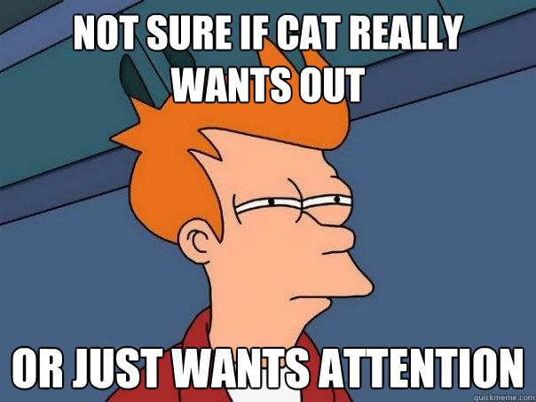 Not sure if cat really wants out or just wants attention  Futurama Fry