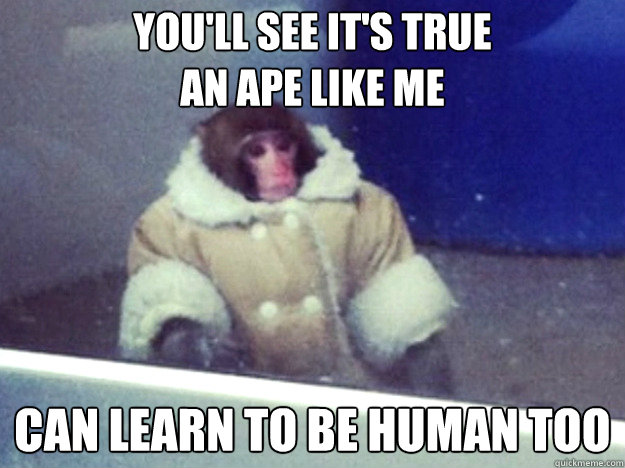 You'll see it's true
An ape like me
 Can learn to be human too  