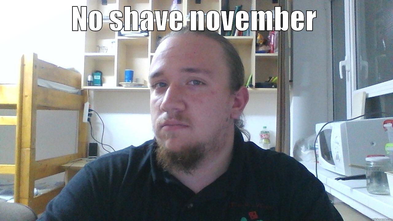 NO SHAVE NOVEMBER  Misc