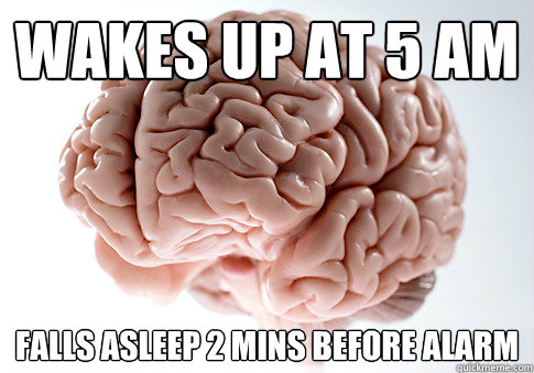 wakes up at 5 am falls asleep 2 mins before alarm  Scumbag Brain