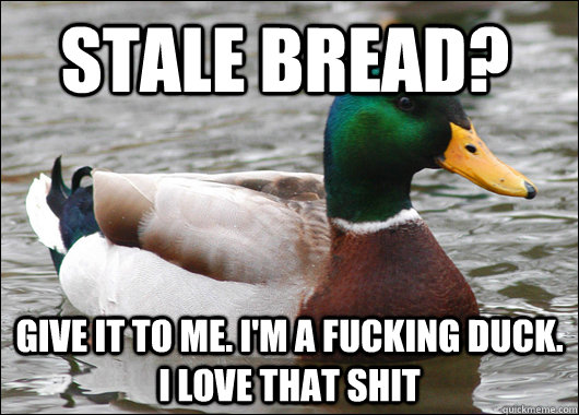 Stale Bread? give it to me. i'm a fucking duck. I love that shit - Stale Bread? give it to me. i'm a fucking duck. I love that shit  Actual Advice Mallard