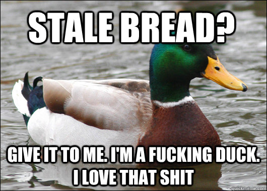 Stale Bread? give it to me. i'm a fucking duck. I love that shit  Actual Advice Mallard