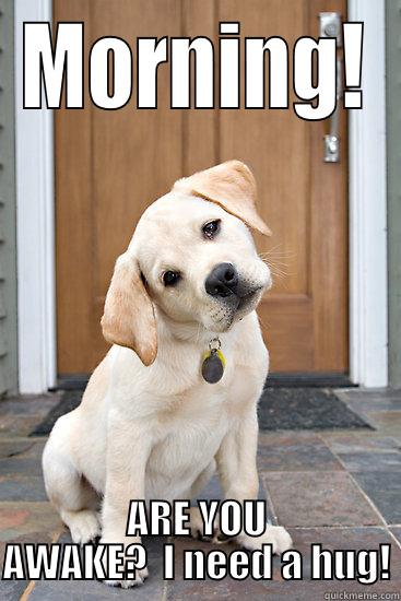 morning are you awake? - MORNING! ARE YOU AWAKE?  I NEED A HUG! Misc
