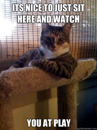 Its nice to just sit here and watch you at play  The Most Interesting Cat in the World