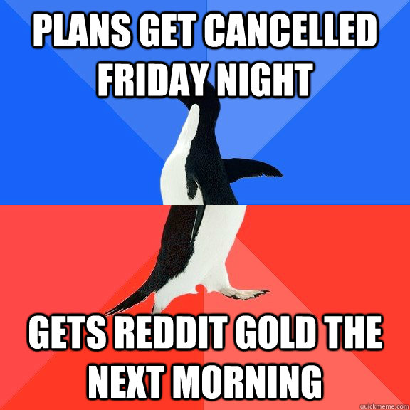 plans get cancelled friday night gets reddit gold the next morning  Socially Awkward Awesome Penguin