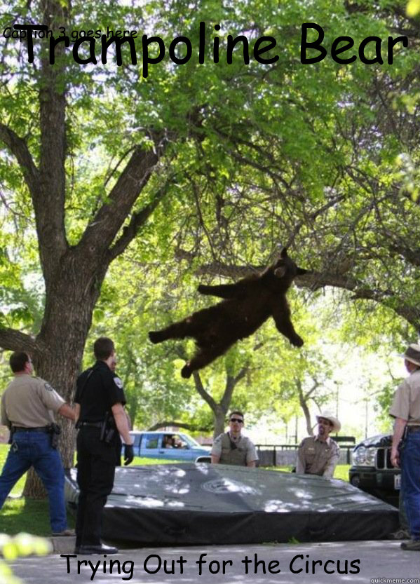 Trampoline Bear Trying Out for the Circus Caption 3 goes here  i am a falling bear