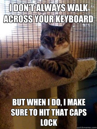 I don't always walk across your keyboard but when I do, I make sure to hit that caps lock  The Most Interesting Cat in the World