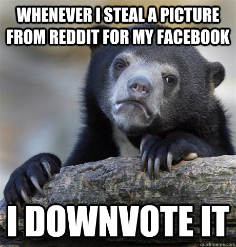 Whenever I Steal a picture from Reddit for my facebook I downvote it  Confession Bear