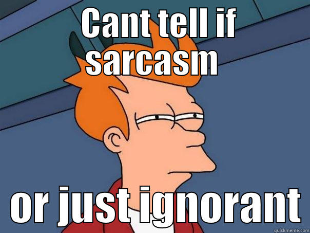   CANT TELL IF SARCASM   OR JUST IGNORANT Futurama Fry