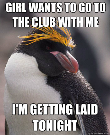 girl wants to go to the club with me I'm getting laid tonight  Socially Overconfident Penguin