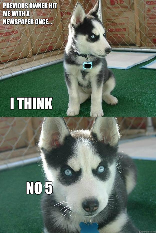 Previous owner hit 
me with a 
newspaper once... no 5  i think  Insanity puppy