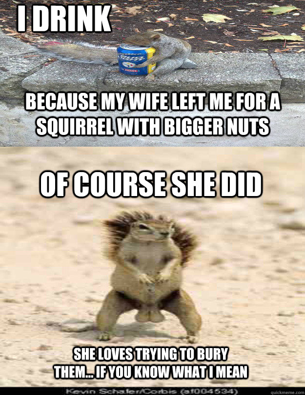 I drink because my wife left me for a squirrel with bigger nuts Of Course she did She loves trying to bury them... If you know what I mean  Drunk Squirrel