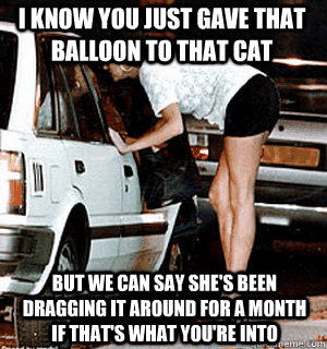 I know you just gave that balloon to that cat But we can say she's been dragging it around for a month if that's what you're into  Karma Whore