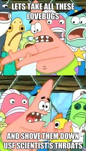 Lets take all these lovebugs and shove them down USF scientist's throats  Push it somewhere else Patrick