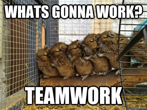 whats gonna work? teamwork  Helpful Hamsters