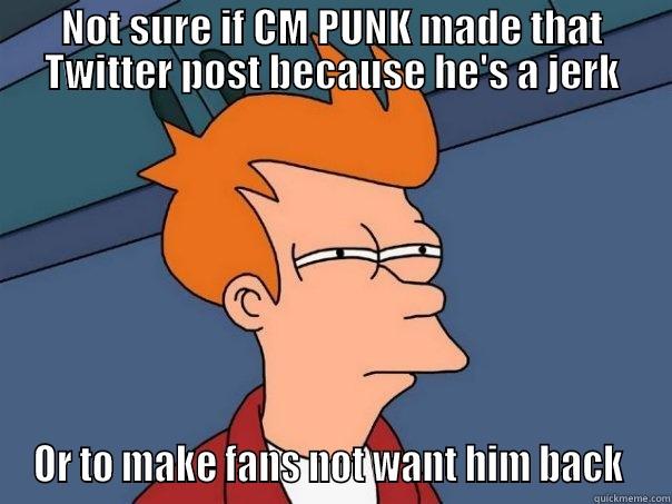 NOT SURE IF CM PUNK MADE THAT TWITTER POST BECAUSE HE'S A JERK OR TO MAKE FANS NOT WANT HIM BACK  Futurama Fry