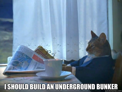  I should build an underground bunker  The One Percent Cat