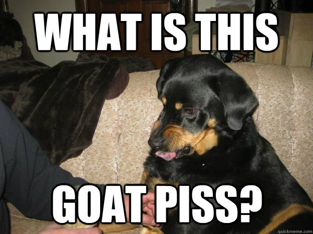 WHAT IS THIS GOAT PISS?  Beer Snob Dog