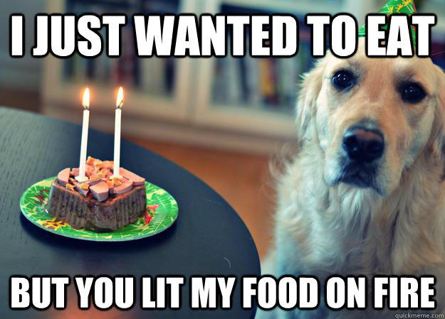 I just wanted to eat but you lit my food on fire  Sad Birthday Dog