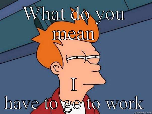 WHAT DO YOU MEAN I HAVE TO GO TO WORK Futurama Fry