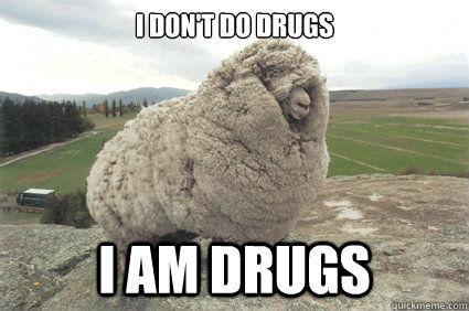 I don't do drugs I am drugs  Shrek the Sheep