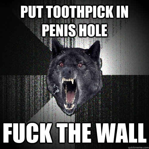 put toothpick in penis hole fuck the wall  Insanity Wolf