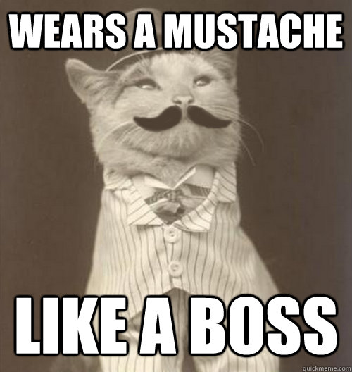 Wears a mustache like a boss  Original Business Cat