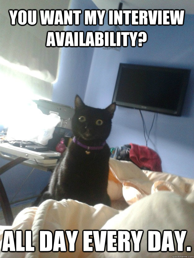 You want my interview availability? ALL DAY EVERY DAY.   overly attached cat