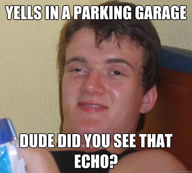 Yells in a parking garage Dude did you see that echo?  10 Guy