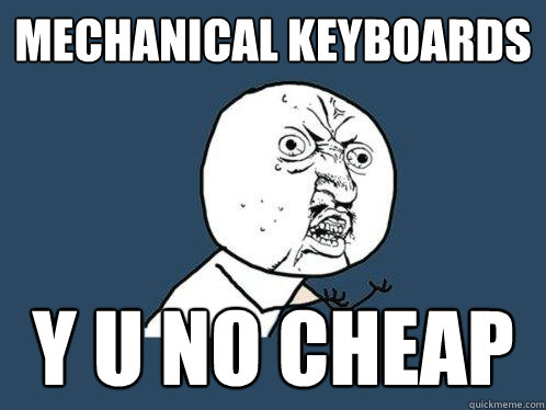 Mechanical Keyboards y u no cheap  Y U No