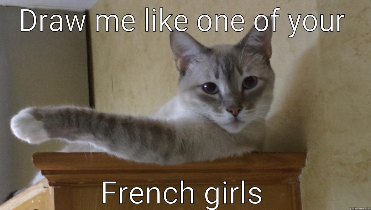DRAW ME LIKE ONE OF YOUR FRENCH GIRLS Misc